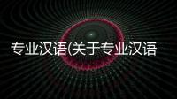 專業(yè)漢語(關(guān)于專業(yè)漢語簡述)