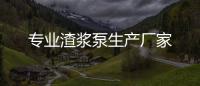 專業(yè)渣漿泵生產(chǎn)廠家