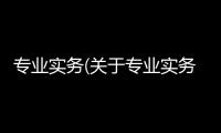 專業實務(關于專業實務簡述)