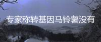 專家稱轉基因馬鈴薯沒有科學依據
