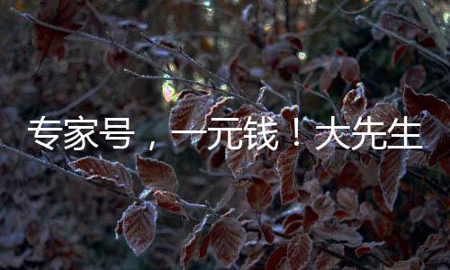 專家號，一元錢！大先生，“瓜真切”！