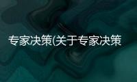專家決策(關于專家決策簡述)