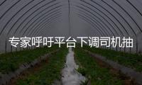 專家呼吁平臺(tái)下調(diào)司機(jī)抽成比例 如何看待網(wǎng)約車空調(diào)費(fèi)之爭(zhēng)？