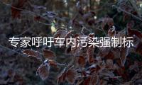 專家呼吁車內污染強制標準盡快出臺
