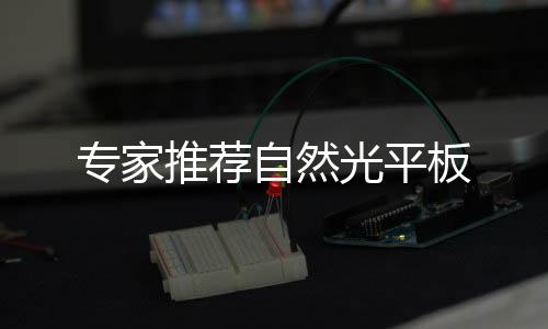專家推薦自然光平板