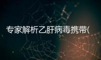 專家解析乙肝病毒攜帶(關于專家解析乙肝病毒攜帶簡述)