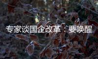 專家談國企改革：要喚醒那些“裝睡的人”