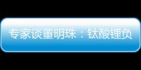 專家談董明珠：鈦酸鋰負極電池爭議甚大