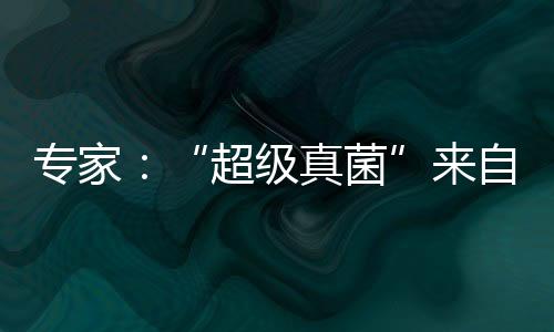 專家：“超級真菌”來自哪里？攻擊誰？會暴發(fā)嗎？
