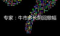 專家：牛市多長陰回撤幅度可能不小 普通投資者應謹慎操作