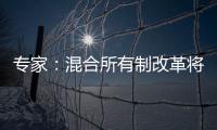 專家：混合所有制改革將成國企改革最大“牽引動力”