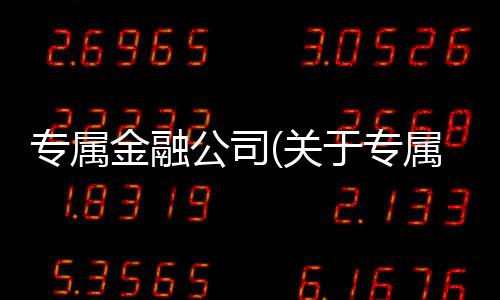 專屬金融公司(關于專屬金融公司簡述)