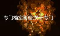 專門檔案管理(關于專門檔案管理簡述)