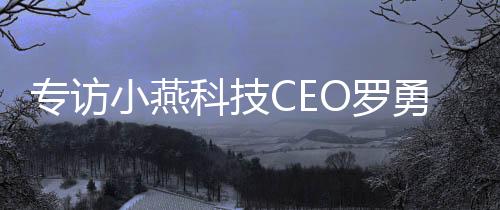 專訪小燕科技CEO羅勇凱:三大技術優勢,賦能行業差異化競爭