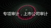 專項(xiàng)審計(jì)，上市公司審計(jì)承接業(yè)務(wù)