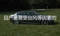 且產量易受臺風等因素的影響