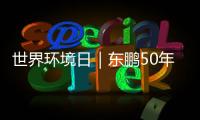 世界環境日｜東鵬50年堅持推動綠色低碳發展