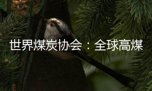 世界煤炭協(xié)會：全球高煤價或不可持續(xù)
