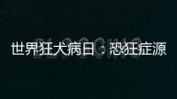 世界狂犬病日：恐狂癥源自偏見與誤傳
