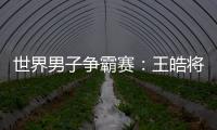 世界男子爭霸賽：王皓將與波爾爭奪冠