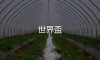 世界盃
