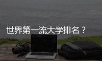 世界第一流大學排名？ 芝加哥大學是頂級大學嗎