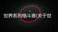 世界系列格斗賽(關(guān)于世界系列格斗賽簡述)