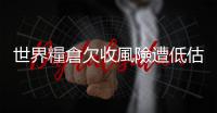 世界糧倉欠收風險遭低估，研究警告社會動盪加劇