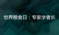 世界糧食日：專(zhuān)家學(xué)者長(zhǎng)沙探討糧食安全