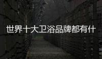 世界十大衛(wèi)浴品牌都有什么（世界十大衛(wèi)浴品牌）