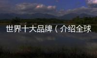 世界十大品牌（介紹全球最具影響力的品牌）