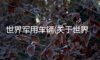 世界軍用車輛(關(guān)于世界軍用車輛簡述)