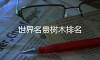 世界名貴樹木排名