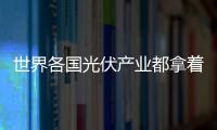 世界各國(guó)光伏產(chǎn)業(yè)都拿著補(bǔ)貼在虧損,行業(yè)資訊