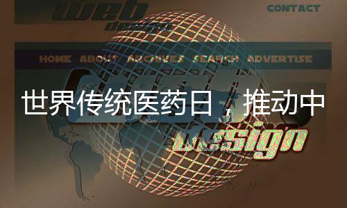 世界傳統醫藥日，推動中藥國際化