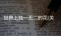 世界上獨一無二的花(關(guān)于世界上獨一無二的花簡述)