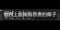 世界上最稀有昂貴的椰子 一顆價格高達2萬元
