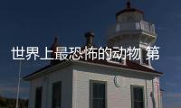 世界上最恐怖的動物 第一個就讓人毛骨悚然