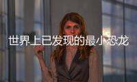 世界上已發現的最小恐龍足跡化石之一 揭示恐龍小型化演進之謎