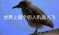 世界上首個仿人機器人飛行員PIBOT問世