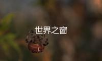 世界之窗
