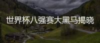 世界杯八強賽大黑馬揭曉！你猜對了嗎？