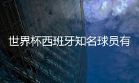 世界杯西班牙知名球員有誰(shuí)？烏奈