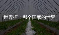 世界杯：哪個國家的世界杯足球冠軍最多