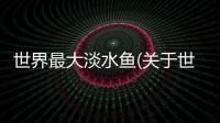 世界最大淡水魚(關(guān)于世界最大淡水魚簡(jiǎn)述)