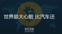 世界最大心臟 比汽車還大