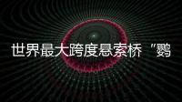 世界最大跨度懸索橋“鸚鵡洲長(zhǎng)江大橋”通車