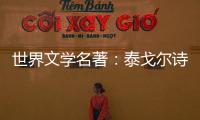 世界文學(xué)名著：泰戈?duì)栐?shī)選(關(guān)于世界文學(xué)名著：泰戈?duì)栐?shī)選簡(jiǎn)述)
