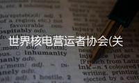 世界核電營運者協(xié)會(關于世界核電營運者協(xié)會簡述)