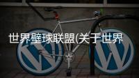 世界壁球聯盟(關于世界壁球聯盟簡述)